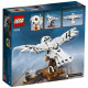 LEGO Harry Potter "Букля" 75979